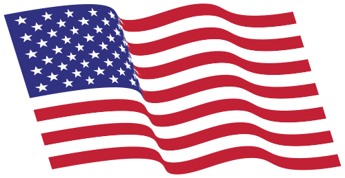 American Flag Icon